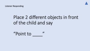 Slide27