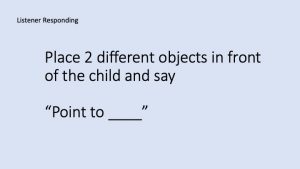 Slide46